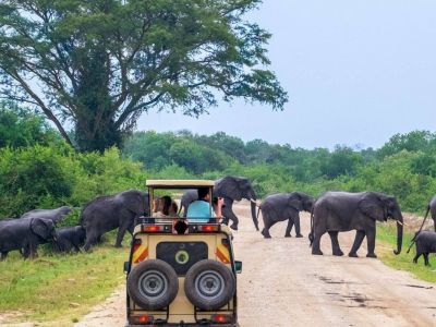 Travel and Concierge