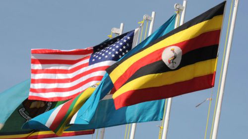 UNEDI Global Fellowships